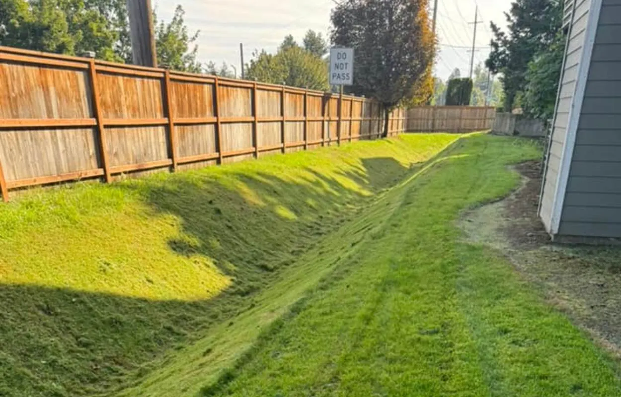 Commercial landscape and exterior care