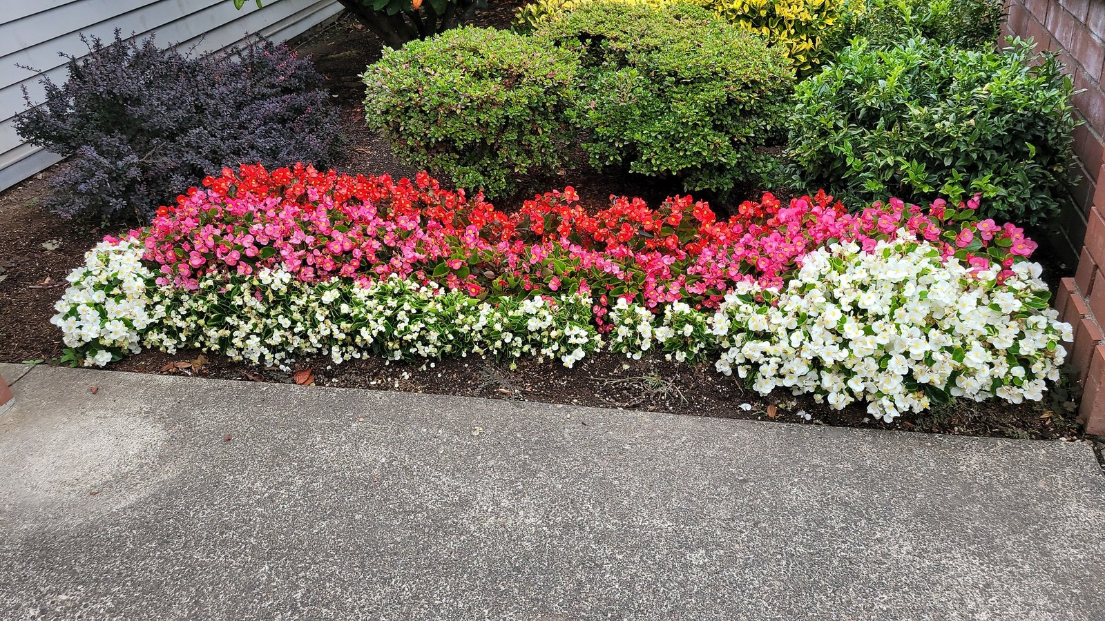 High-end Painting Services project in Wilsonville